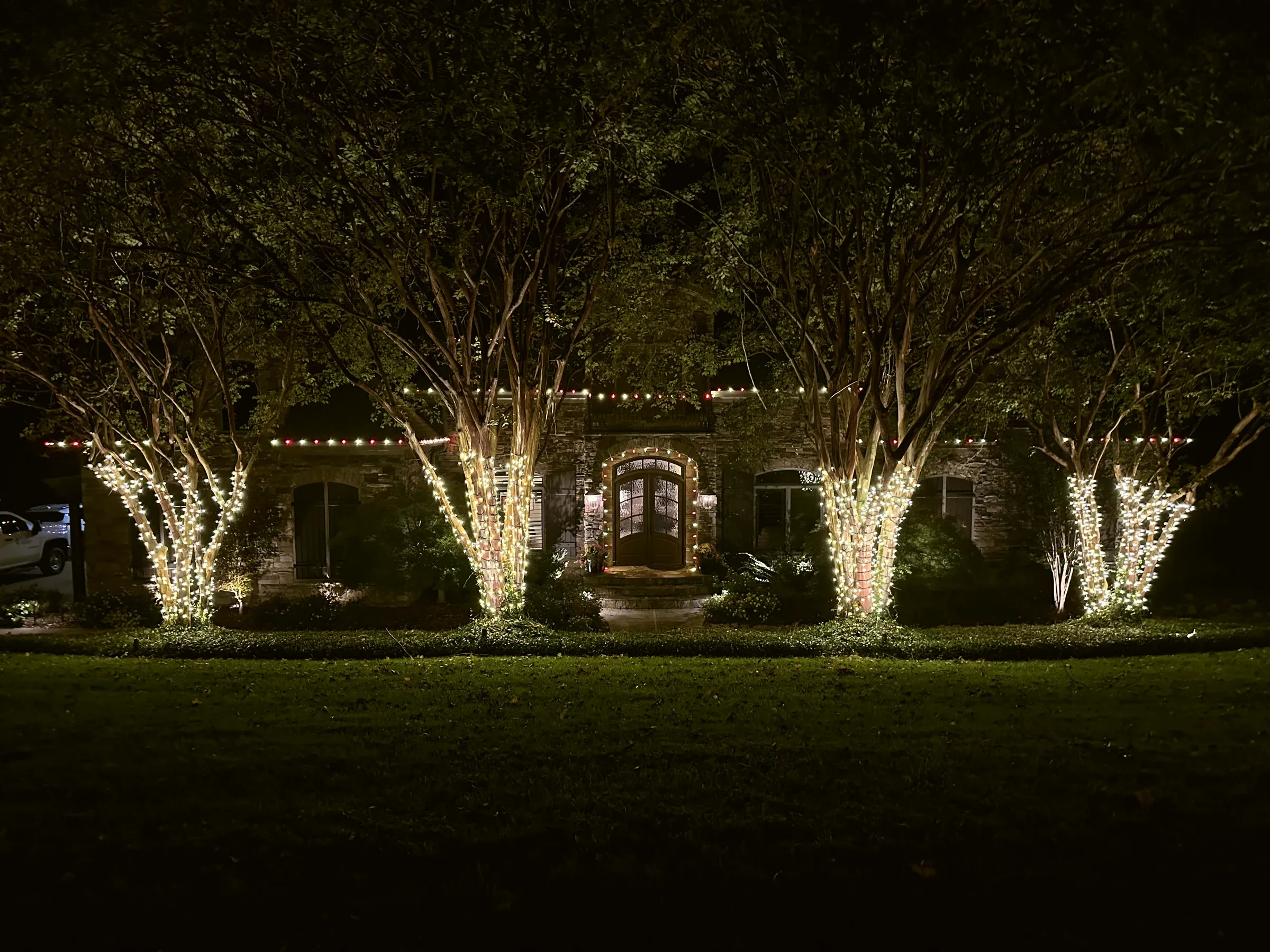 Four crape myrtles wrapped trunk to branch in warm white lights across the front lawn of a stone house at night.