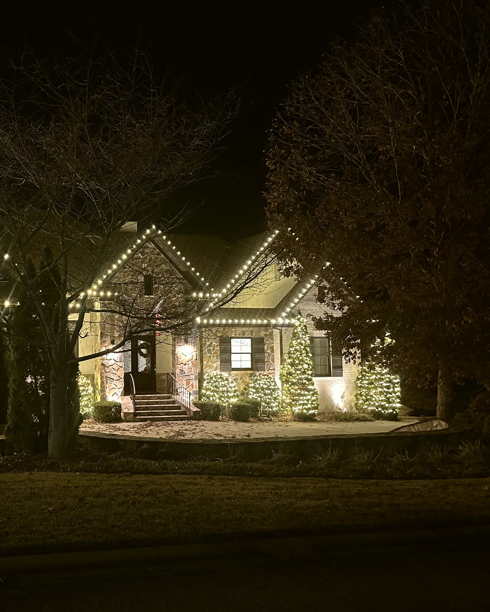 A stone cottage at night with the roofline outlined and the shrubs and small trees along the front wrapped in warm white.