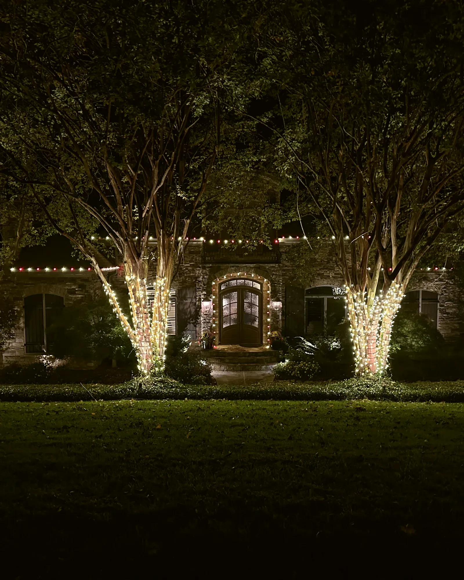 Two crape myrtle trunks wrapped in warm white lights in front of a stone house at night.